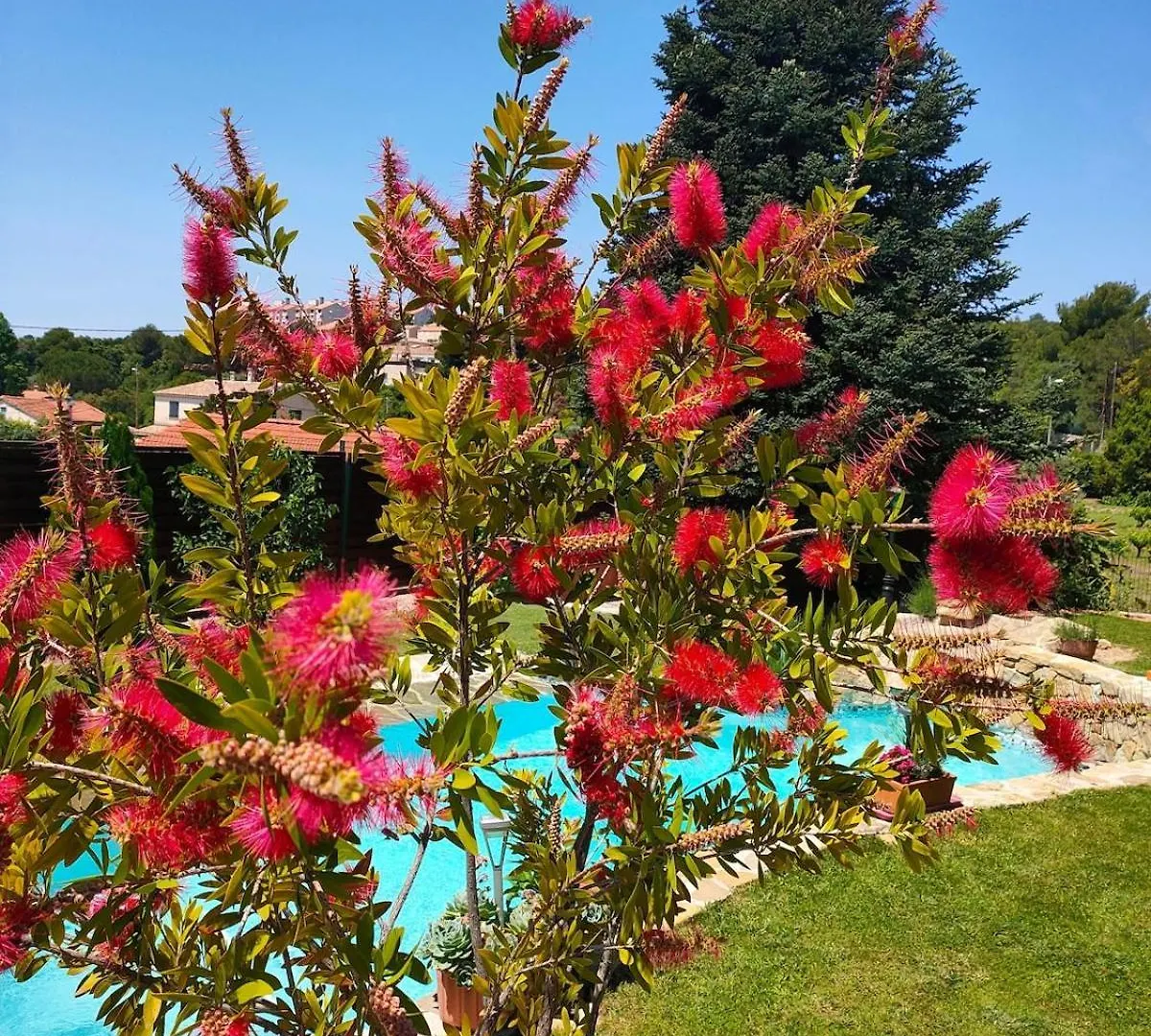 Villa 140 M2 Piscine Jardin 5 Personnes Et Un Bebe Μασσαλία
