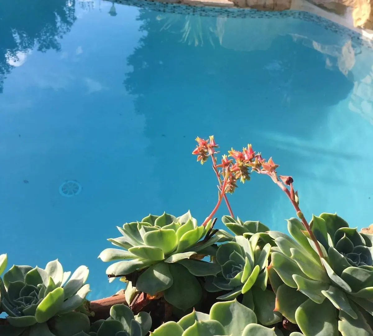 Villa 140 M2 Piscine Jardin 5 Personnes Et Un Bebe Marseille France